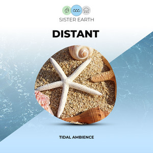 Distant Tidal Ambience album