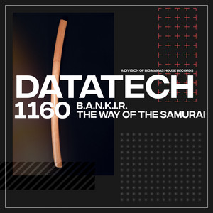 The Way Of The Samurai