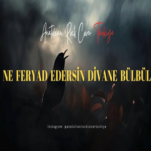 Anatolian Rock Cover Türkiye - Ne Feryad Edersin Divane Bülbül
