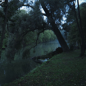 Fallback by Revora