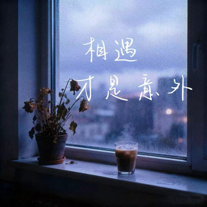 相遇才是意外 (对唱版)