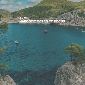 Narcotic Ocean to Focus album