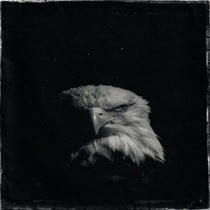 Valentyn Krepel — F.S.
