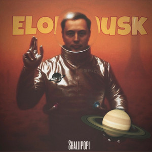 Elon Musk by Shallipopi