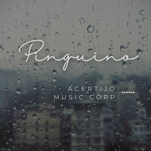 pinguino by Acertijo Music Corp