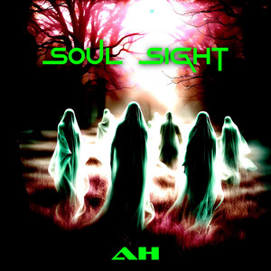 Soul Sight