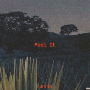 Feel It by Lando, CDot