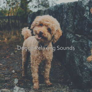 Piano Solo (Music for Home with Dogs) album