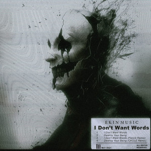 Ekin Music - I Don't Want Words