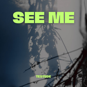 See Me by Testude