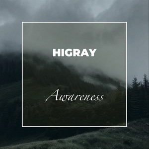 HIGRAY — Awareness