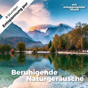 Beruhigende Naturgeräusche mit entspannender Musik. Ideal zum Einschlafen, Meditieren, Lernen und gegen Stress (Wald- und Regengeräusche, Vogelgesang, Meeresrauschen und weitere Naturklänge begleiten Sie auf Ihrem Weg zur Tiefenentspannung.)