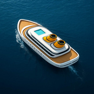 The S.S. Anne (From 