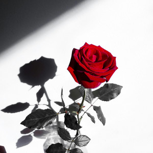 Ntxheb Vaj - Xav Tuag Nthi