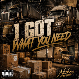 I Got What You Need by Nickoe