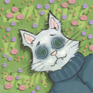 anything u want - OG by i hate flowers, kaysnoto