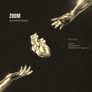 Portada de ZOOM