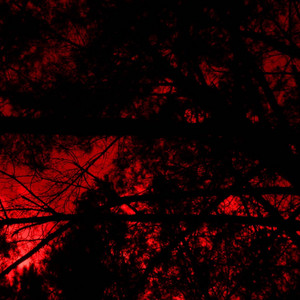 breakcore death metal by Acidgvrl