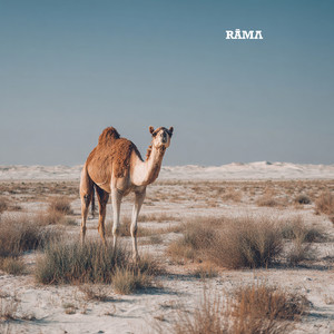 The Camels Spell by RĀMΛ