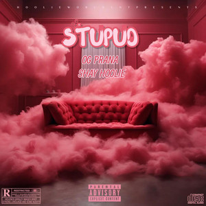 STUPUD