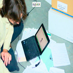 nginx cover art