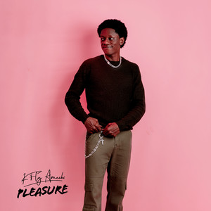 Pleasure by K Fly Amechi