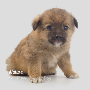 Nature: Rain Therapy Music for Dogs album
