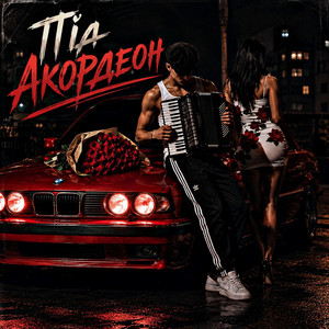 ️Під Акордеон by ZVUCAR, Kamelii Merlina