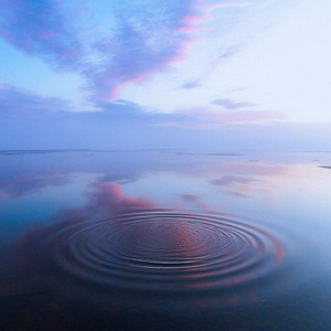 stillness by shadow.