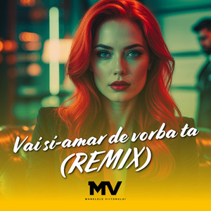 Manelele Viitorului - Vai si-amar de vorba ta (Remix)