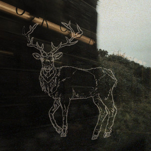 A Dream of the Forest by Thomas Parrish, Flatsound