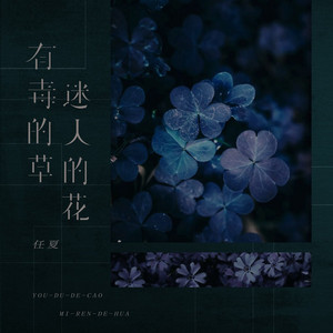 有毒的草迷人的花 by 庞豪阳