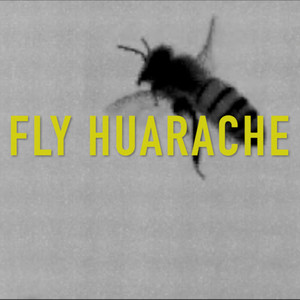 Blank Faze - Fly Huarache