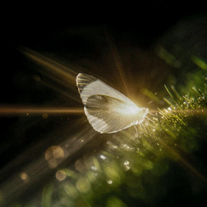 Whole Lotta Heaven by Ok Pretty Boy