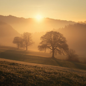 The Last Morning by Emma Amirault