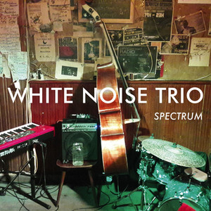 Gravity by White Noise Trio