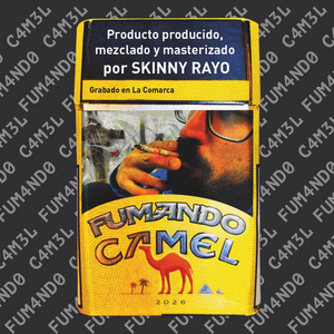 Skinny Rayo - TOALLÍN