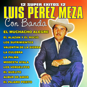 12 Super Exitos Con Banda album
