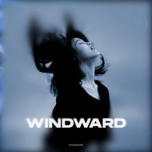 Windward by FRXSTBURN