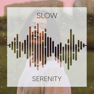 # 1 Album: Slow Serenity album