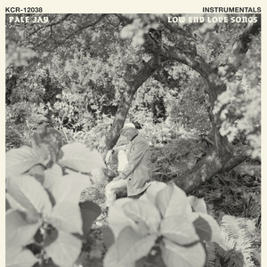 Baby - Instrumental by Pale Jay