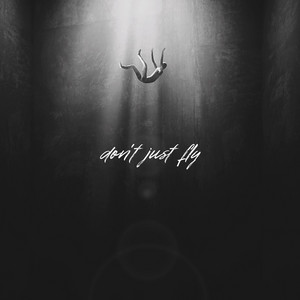 Don't Just Fly by Thakkar