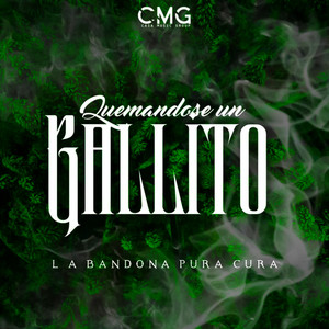 Quemandose Un Gallito