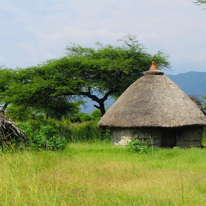 ኡረት ኢት by HADIYISA MEZMUR