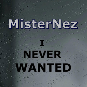 MisterNez - I NEVER WANTED