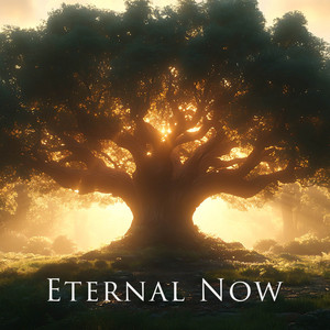 No Beginning, No End by Buddha Code, Matej