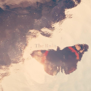 The Rain