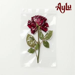 Smothered by Aylu.