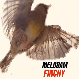 Finchy by Melodam