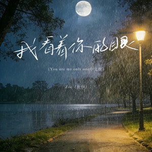 我看着你的眼（You are my only one） - 中文版 by Zoe（佐伊）